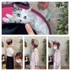 画像12: LOOK UP！(猫)ベージュ (12)