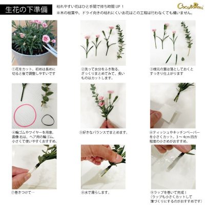 画像1: 木の帽子〜MADE OF WOOD〜/キャスケット(桜)