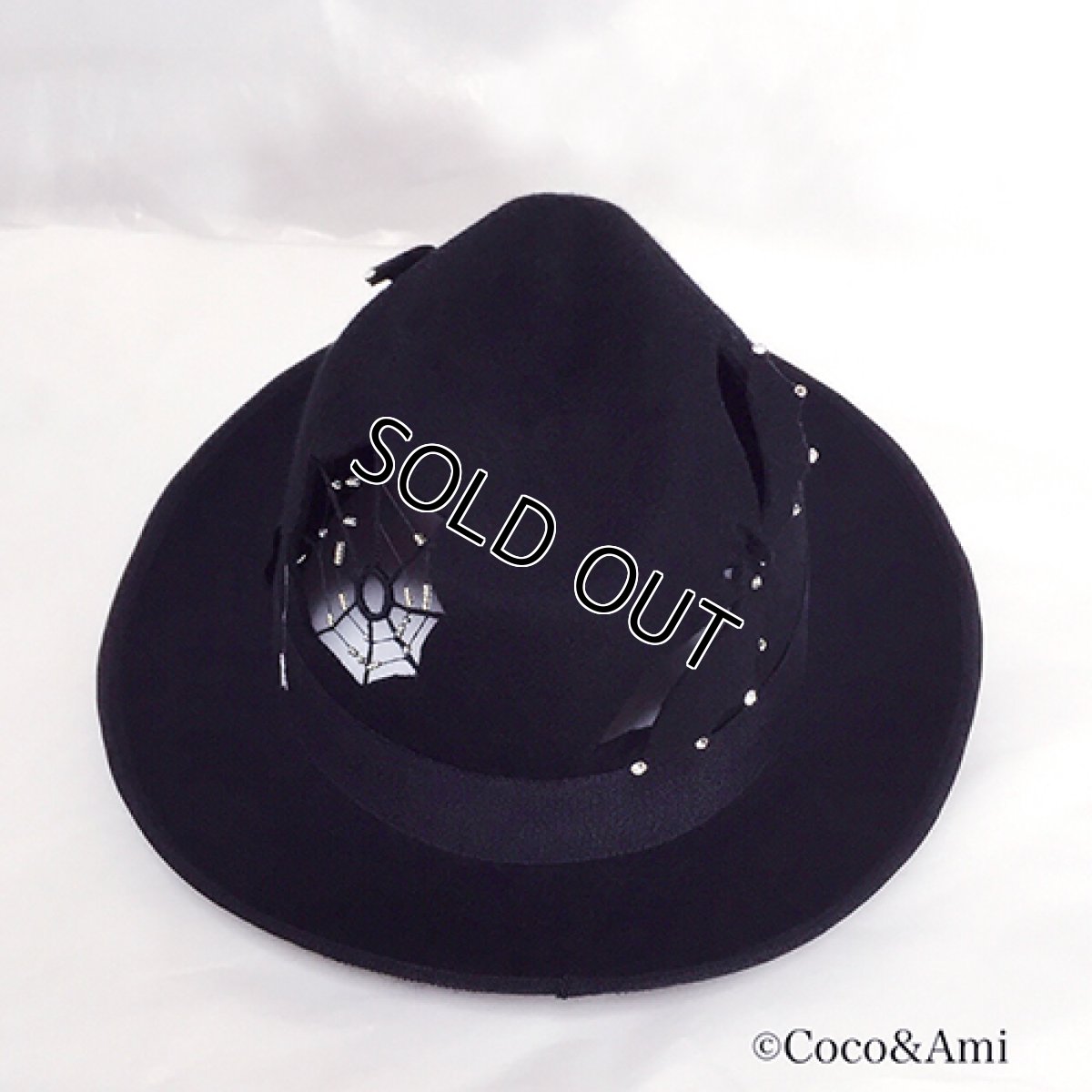 画像3: 雨の日キラキラスパイダー（中折れハット） (3)