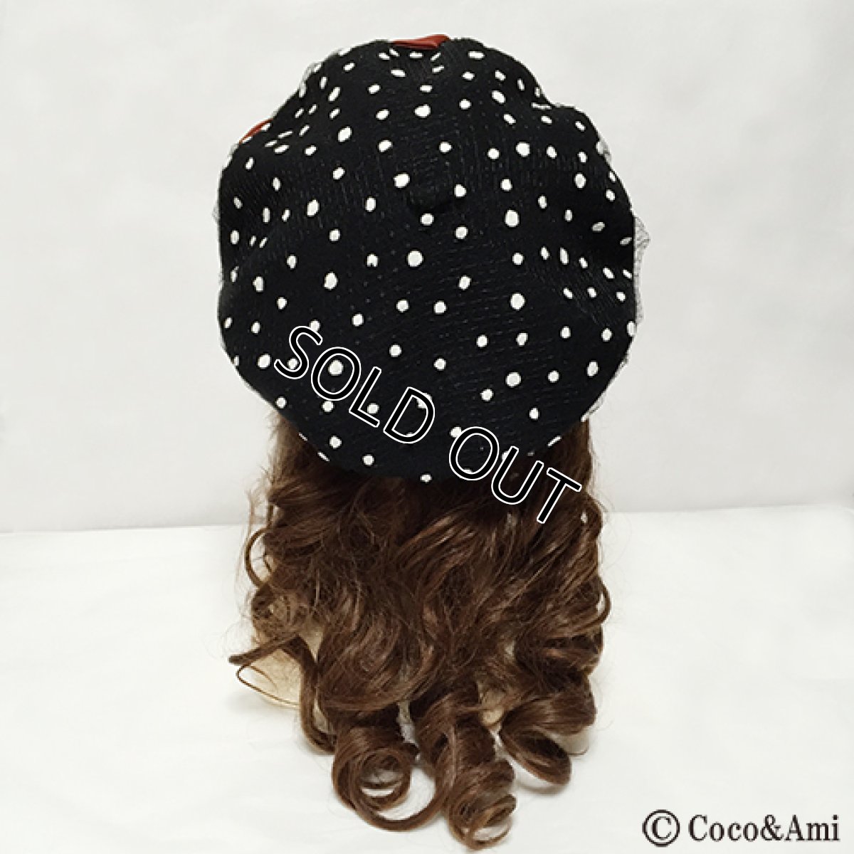 画像5: 冬のダイアモンドフィンチ (5)