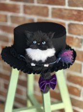 画像12: 猫かぶらニャいと！冬ハット(ニャロウィン)黒猫 (12)