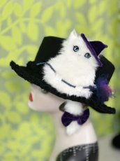 画像2: 猫かぶらニャいと！冬ハット(ニャロウィン)白猫 (2)