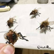 画像16: Bee happy!(ブラック) (16)