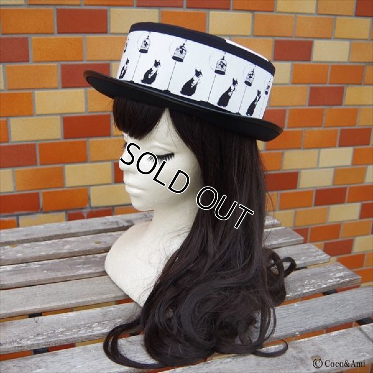 画像3: き(ゃ)っとフード・・ (ブラック) (3)