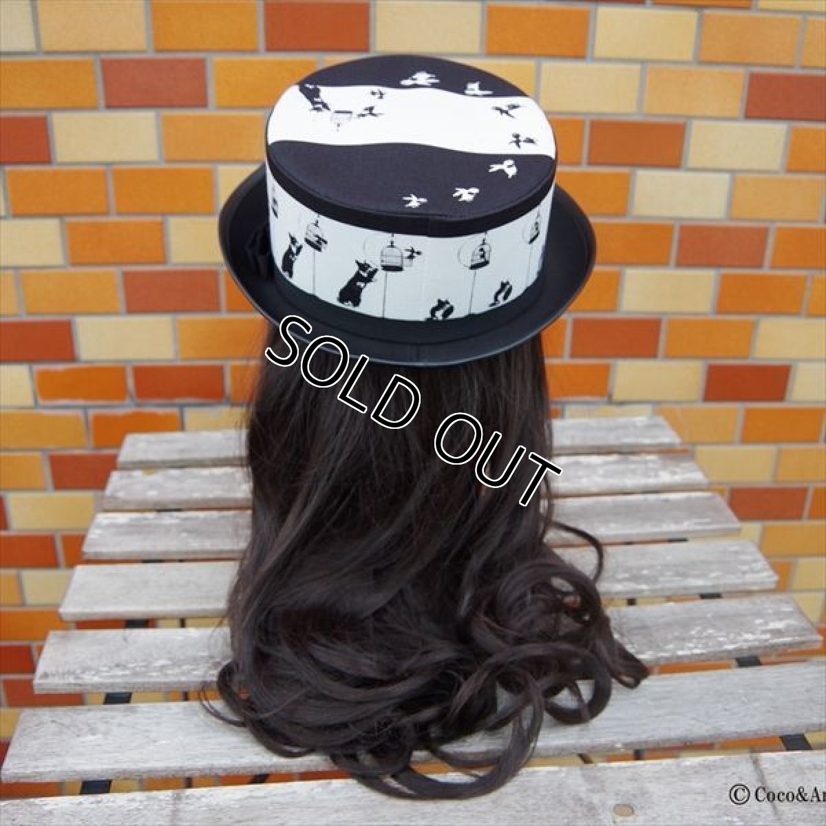 画像4: き(ゃ)っとフード・・ (ブラック) (4)