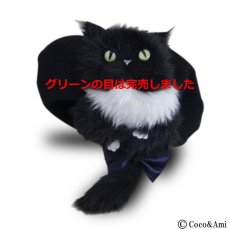 画像3: 猫かぶらニャいと！ベレー（黒） (3)