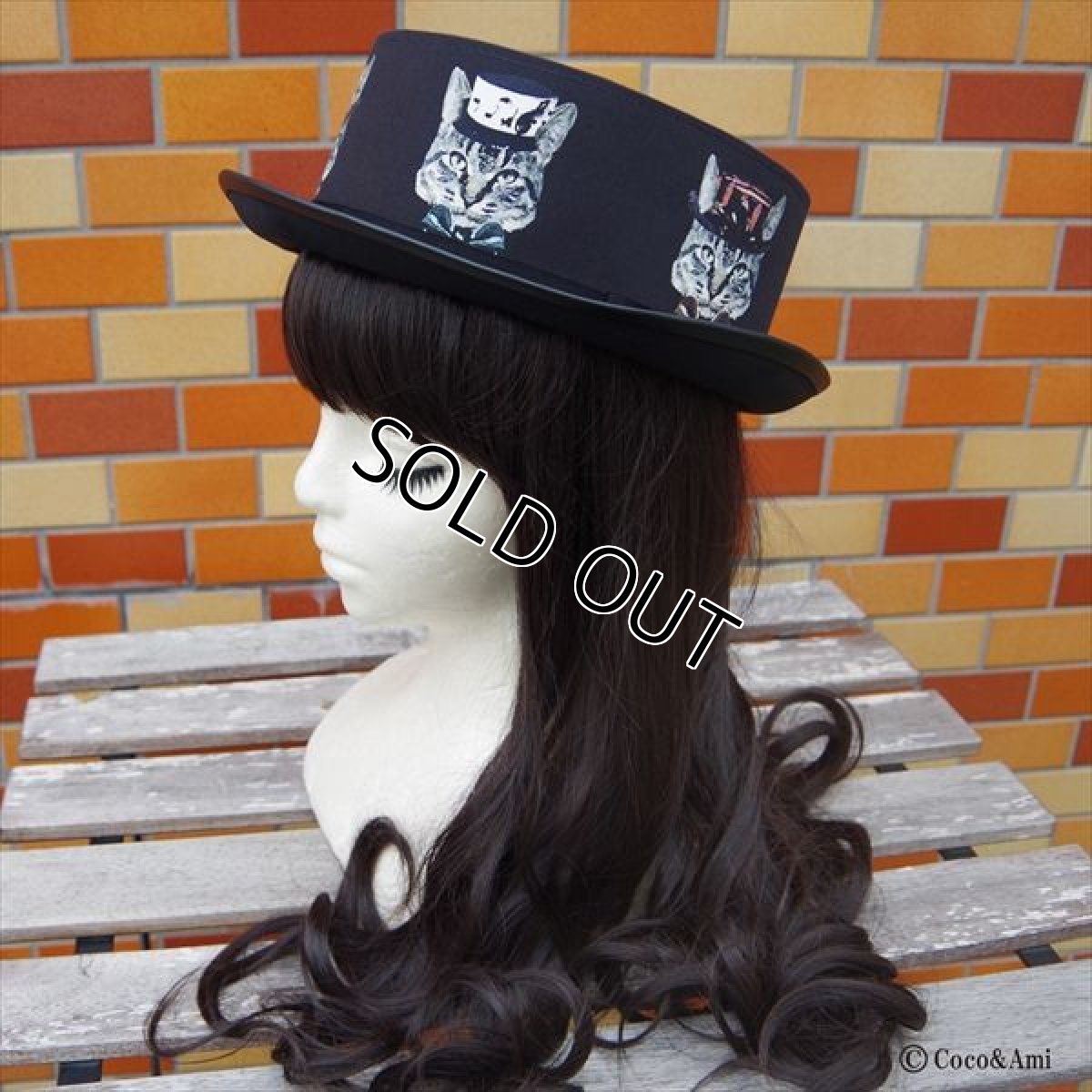 画像4: 猫かぶらニャいと！モダンハット（黒） (4)