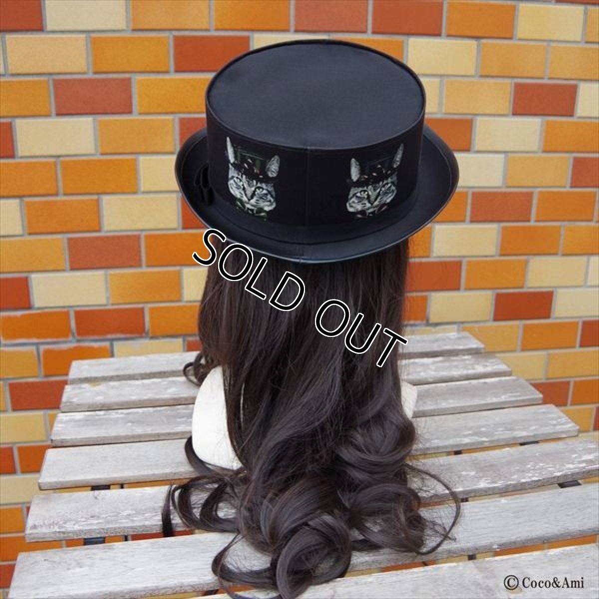 画像5: 猫かぶらニャいと！モダンハット（黒） (5)