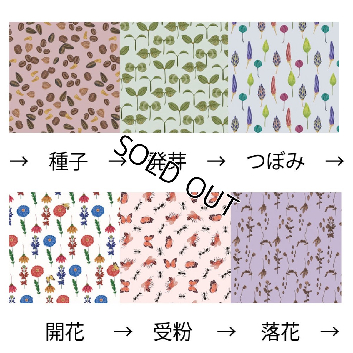 画像9: 春夏秋冬/ハット(夕) (9)