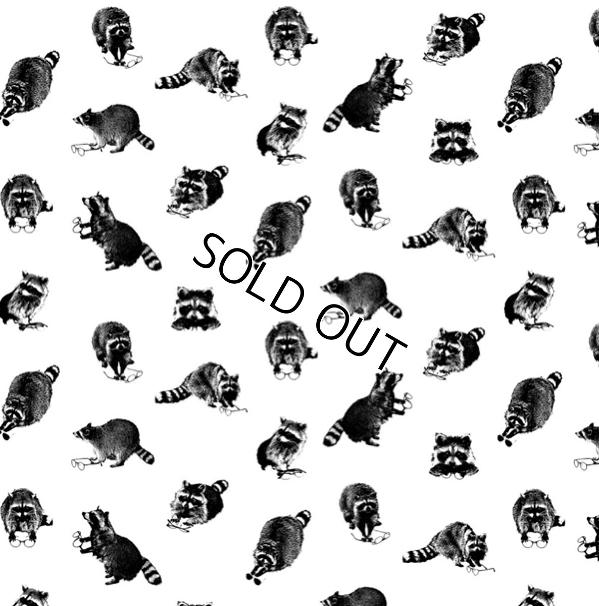 画像8: アライグマタスカル/ハット(ホワイト) (8)