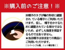 画像12: 3WAYバッグチャーム/文鳥(シルバー文鳥) (12)